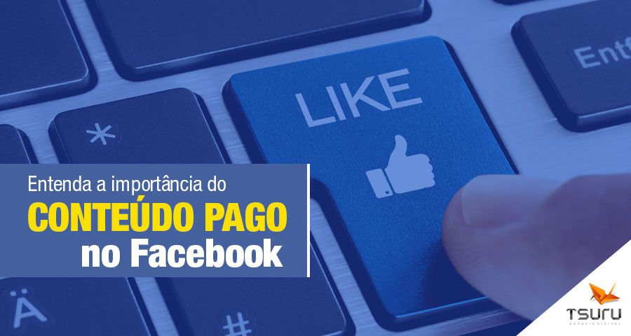 Entenda a importância do conteúdo pago no Facebook